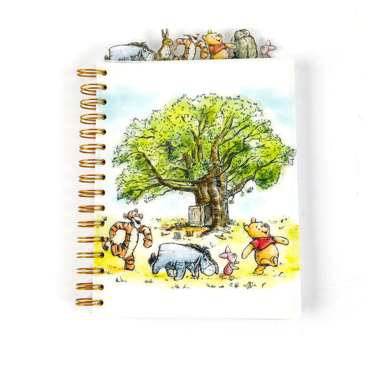 سرپل نوٹ بک لکھنے کے لئے اب بھی سب سے قابل اعتماد انتخاب کیوں ہیں؟